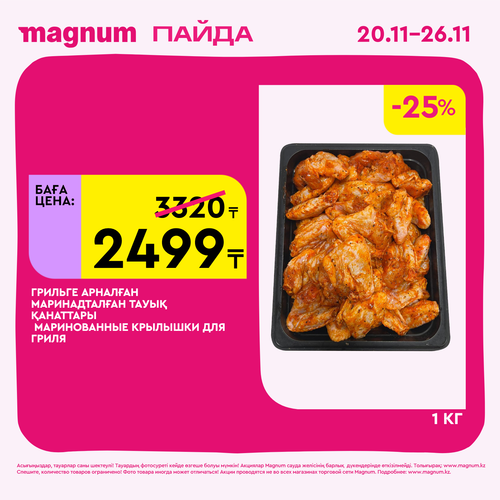Magnum 1620x1620 1 tov 2025 11 19T115826.827.png