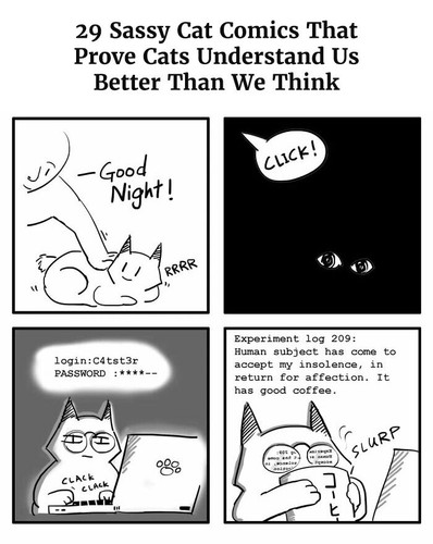 feline comics sassy cat xibang.jpg