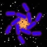 Vortex Logopfp (4).gif