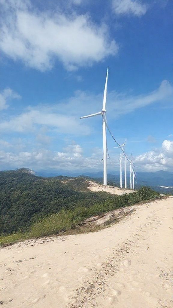 Alternergy unit to take over 80-MW Cebu wind project
