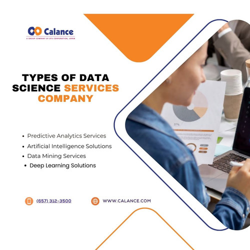 Types of data science services company.jpg