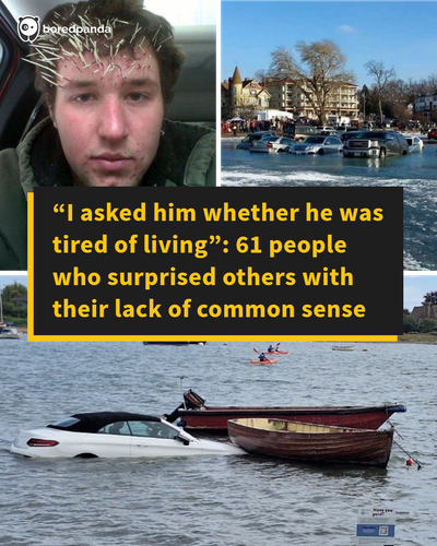 no common sense people.png