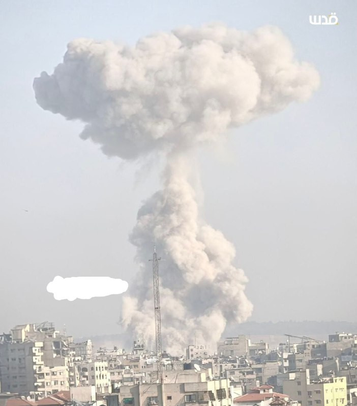 المكتب الإعلامي الحكومي في غزة: نستنكر بشدة استمرار سلطات الاحتلال في ارتكاب خروقات خطيرة ومنهجية لقرار وقف إطلاق النار. حتى مساء الثلاثاء 18 نوفمبر 2...