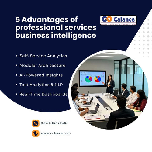 5 Advantages of professional services business intelligence.jpg
