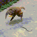 TpZBJ1wMY3vgXh8.gif