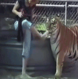 lOEedT6Gik9wybP.gif