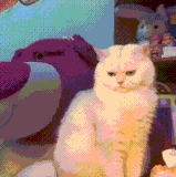 MCUoDhQxiegqLyH.gif