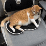 就拿这个来考验干部？.gif