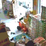 这黑狗估计不知道什么叫恐怖直立猿.gif