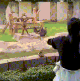 让我们给这个人类废柴鼓鼓掌吧.gif