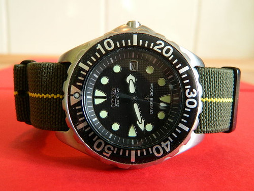 DSCN7850.jpg