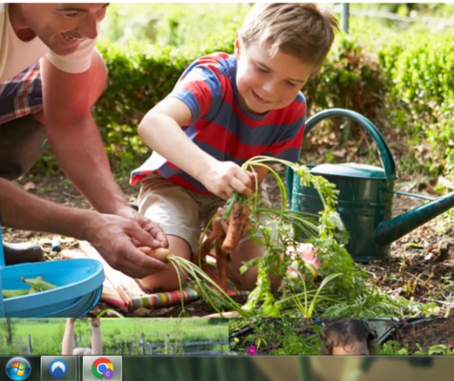 Landscaping Boca Raton.png