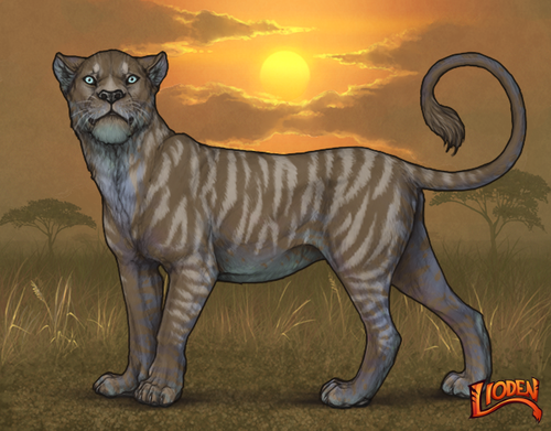 lioden wardrobe (14).png