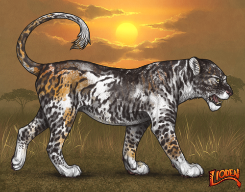 lioden wardrobe (11).png