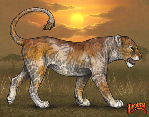 lioden wardrobe (10).png