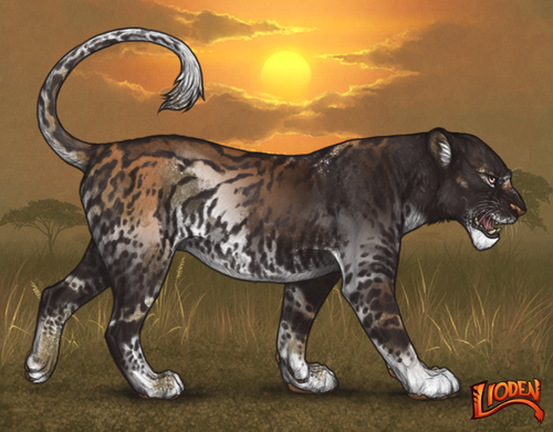 lioden wardrobe (9).png