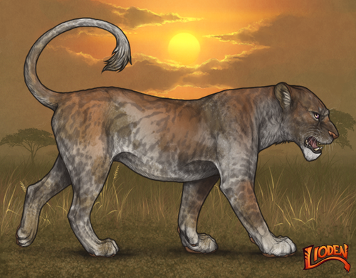 lioden wardrobe (8).png