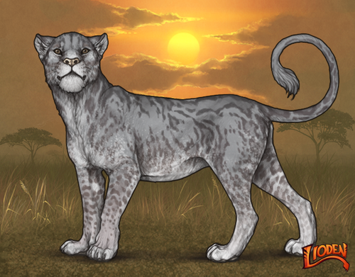 lioden wardrobe (12).png