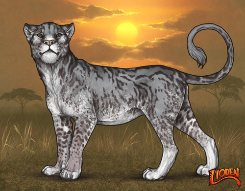 lioden wardrobe (13).png