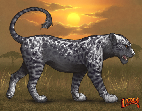 lioden wardrobe (18).png