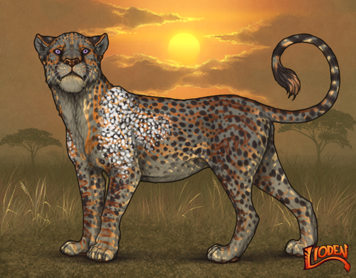 lioden wardrobe (26).png