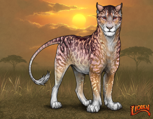 lioden wardrobe (28).png