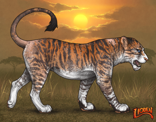 lioden wardrobe (27).png