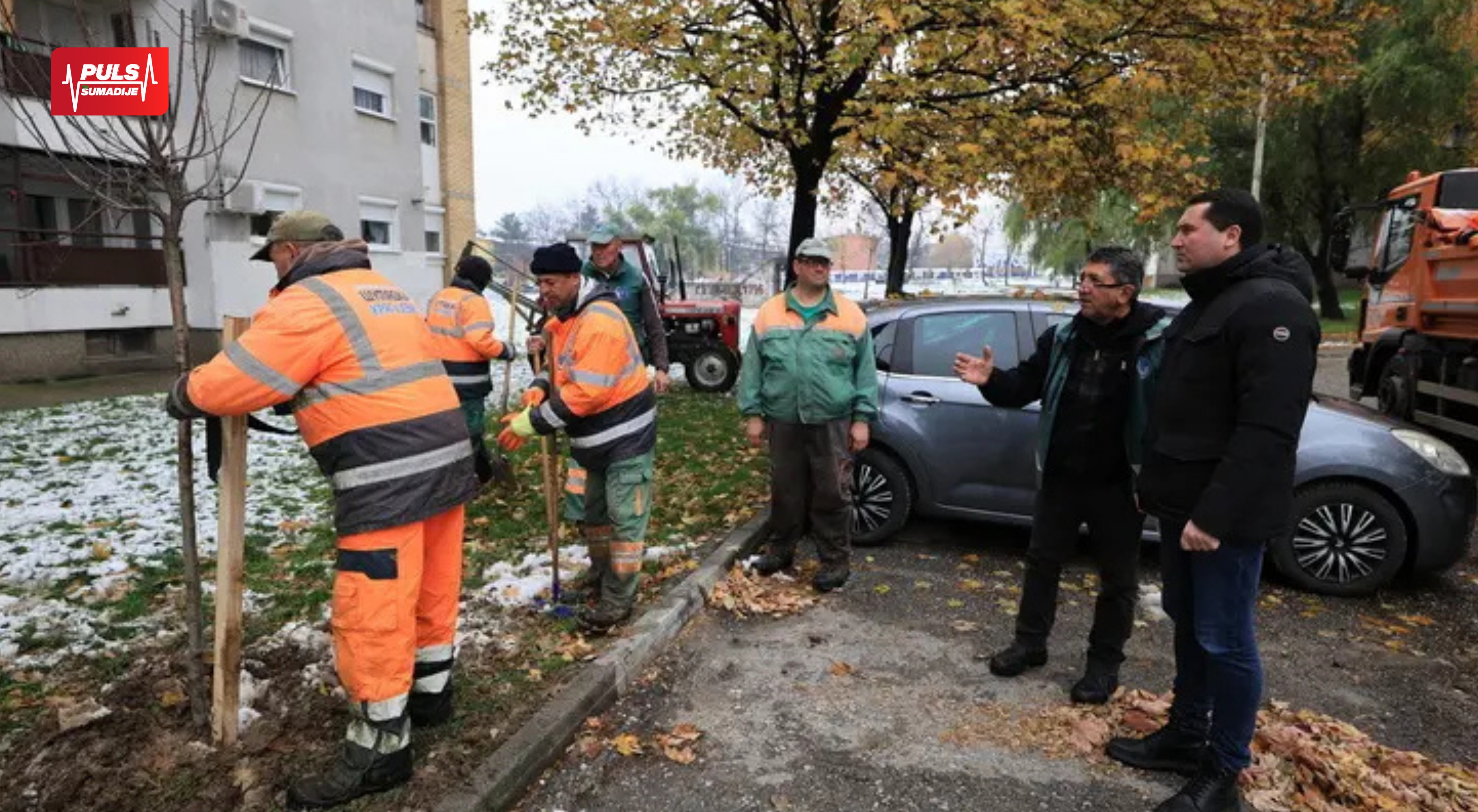 KRAGUJEVAC DOBIJA NOVE ZELENE POVRŠINE: Sadnja lišćarskih i četinarskih sadnica u okviru projekta „Kragujevac u zelenoj boji”
