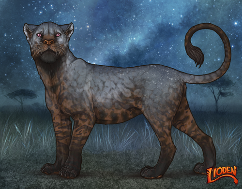 lioden wardrobe (53).png