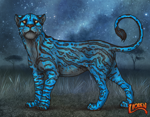 lioden wardrobe (54).png