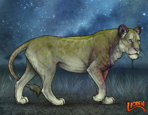 lioden wardrobe (52).png