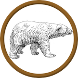 token urso polar
