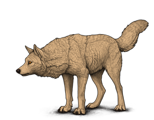 default sentinel.png