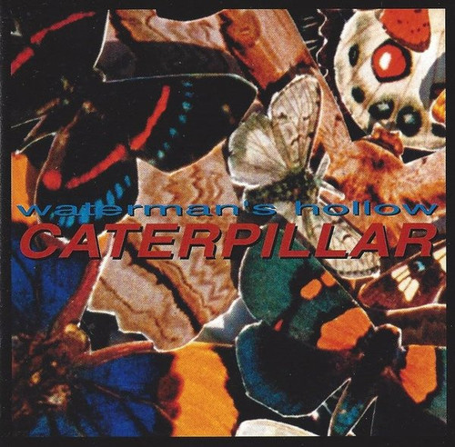 Watermans Hollow Caterpillar.jpg