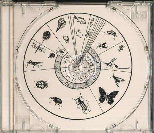 Watermans Hollow Caterpillar 4.jpg