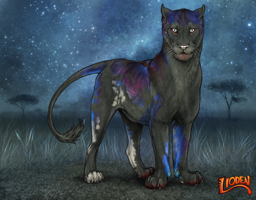 lioden wardrobe (46).png