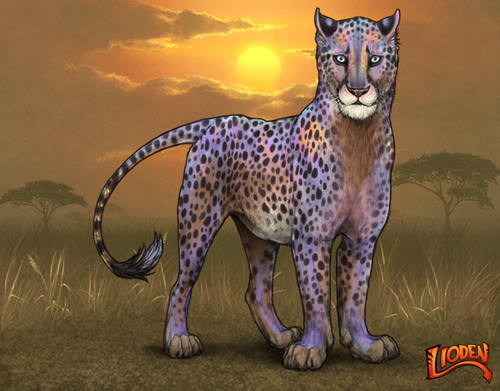 lioden wardrobe (29).png