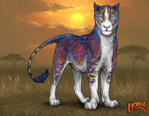 lioden wardrobe (30).png