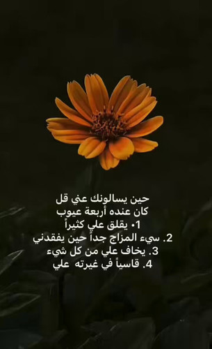 d5MocEw1CrlAzDhr.1