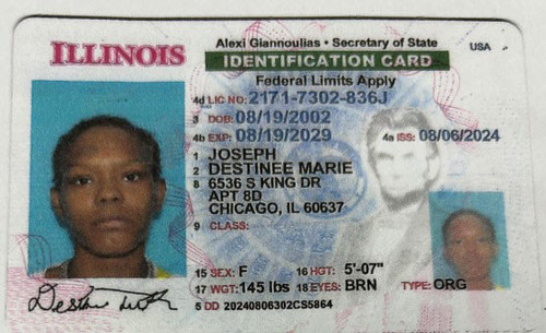 Destinee Marie Joseph license image.1
