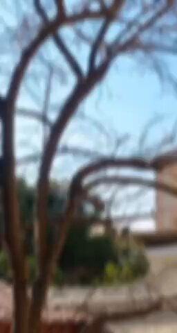 EB3zJWrhd8hMAJtL.1