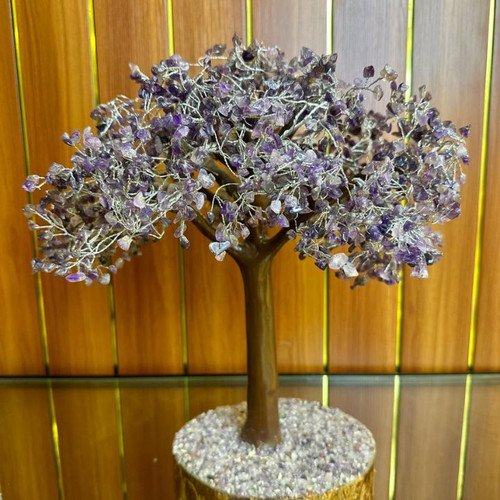 Avisha Wellness is the best metaphysical shop in Bengaluru.jpg