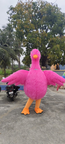 IMG 20260106 162941.jpg