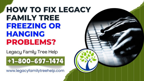 fix Legacy family tree freezing or Hanging Problems.jpg