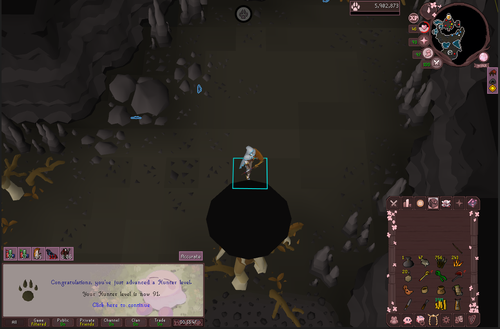 RuneLite V9ykRd0d8h.png