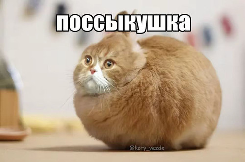c0d09a96b0da.jpg