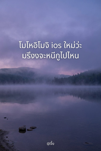 aa44c98635e4.jpg