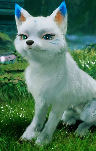 IMG 20260108 145742 eea89aac97