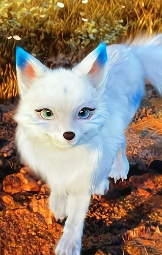 IMG 20260108 145726 70c2dabe2a