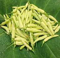 Screenshot 2026 01 08 125239.png